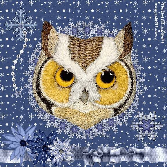 Owl,Winter