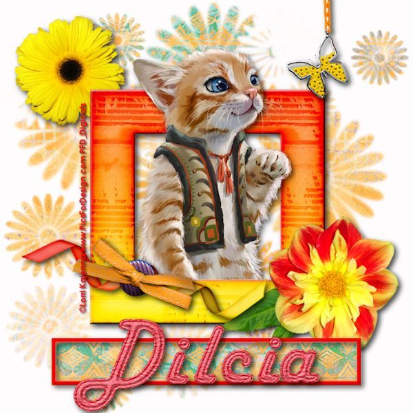 Spring Kitten - Dilcia