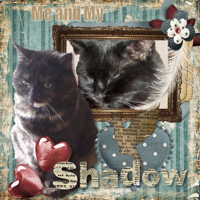 Georgia's Valentine to Shadow