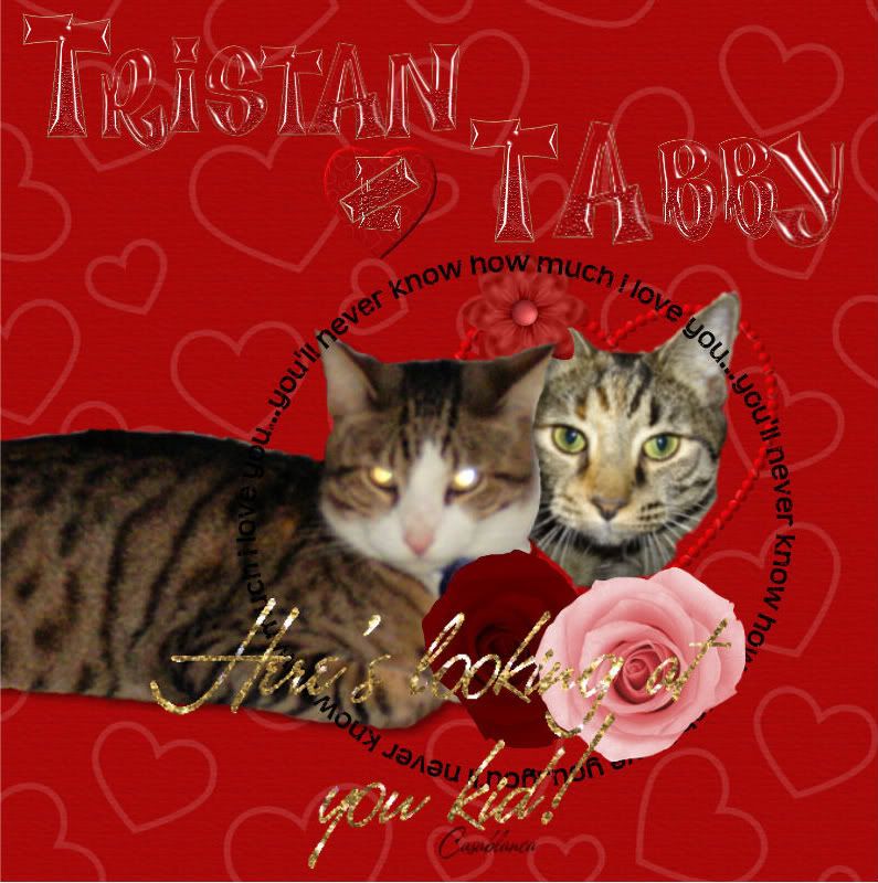Tristan's Valentine to T'Abby