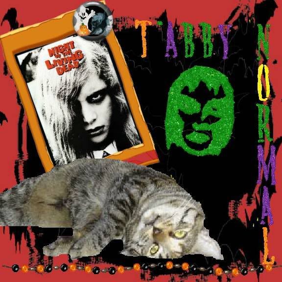 tabby cat,Howl-N-Scream
