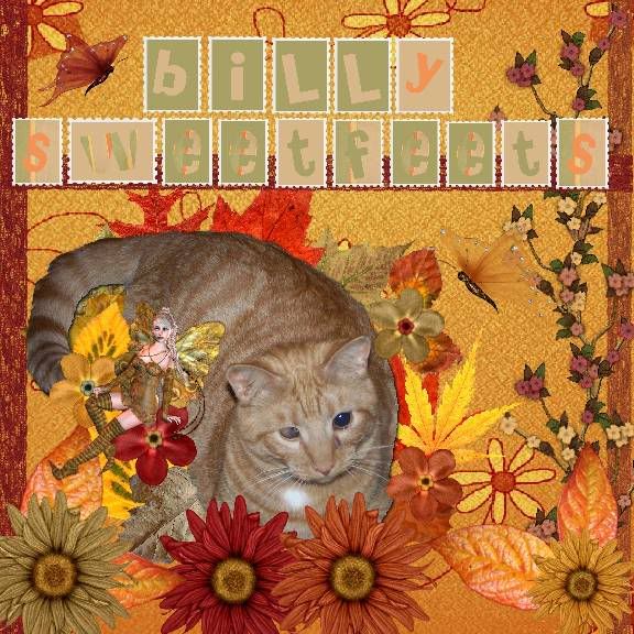 Ginger Cat,Tabby Cat,Autumn,Fairies