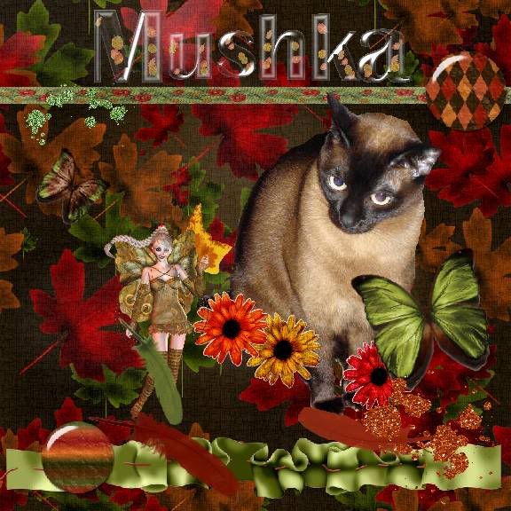 Siamese Cat,Autumn,Fairies