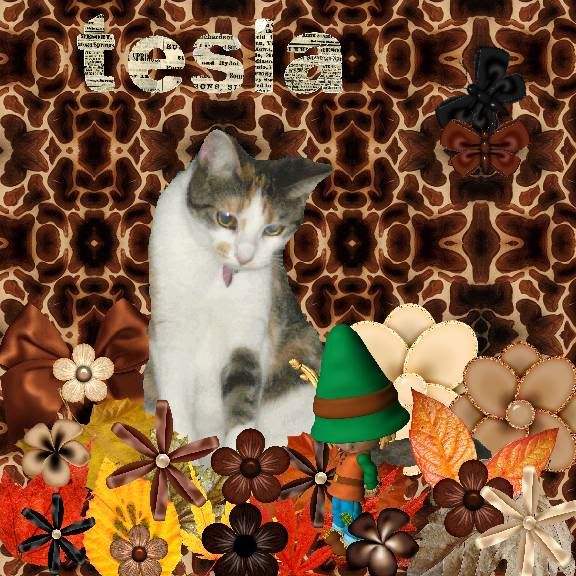 Calico Cat,Autumn,Domestic Cat,Fairies