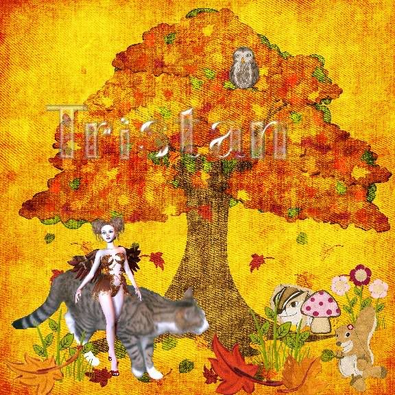 Autumn,Sir Tristan,Tabby Cat,Fairies