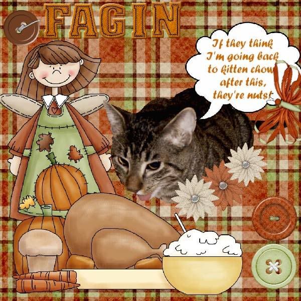 Tabby Cat,Domestic Cat,Talking Turkey