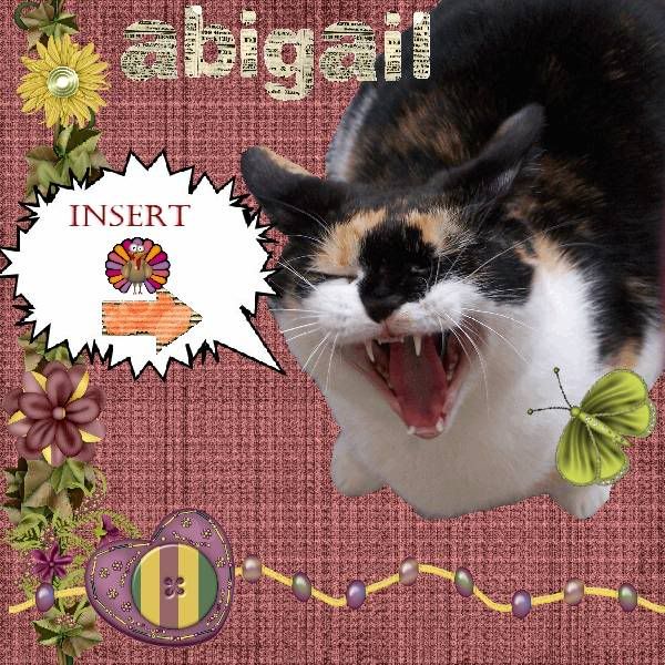 Calico Cat,Domestic Cat,Talking Turkey