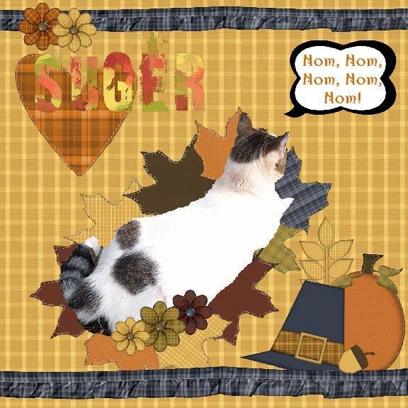 Domestic Cat,Talking Turkey