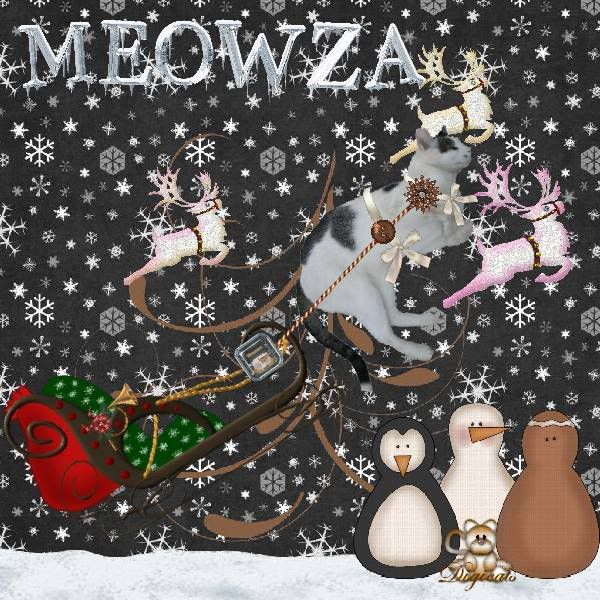 Domestic Cat,Winter,Catblogosphere Cats,Snowmen