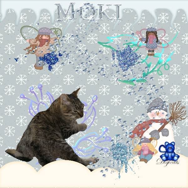 Fairies,Domestic Cat,Tabby Cat,Winter,Snowmen,Fantasy