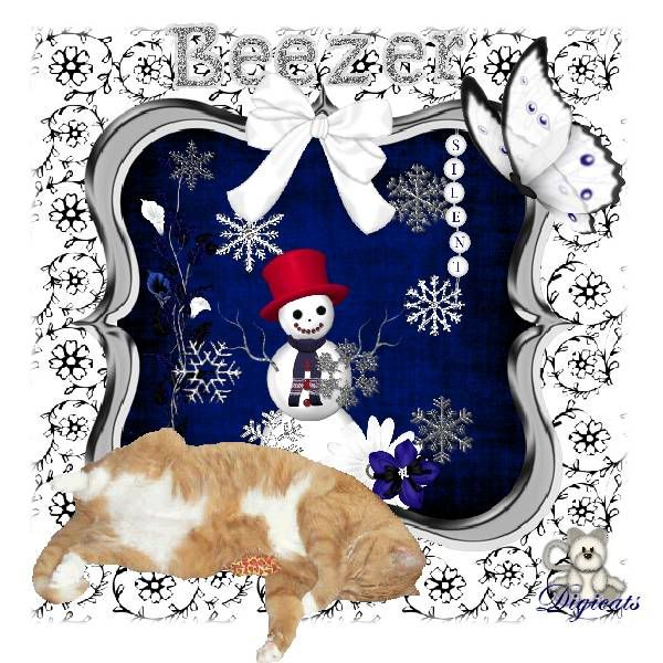 Ginger Cat,Tabby Cat,Domestic Cat,Snowcats Project,Snowman,Happy Holidays