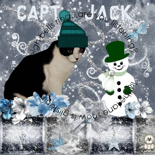 Bi-Colored Cat,Domestic Cat,Snowcats Project,Winter,Snow,Snowman,Holiday Glitter