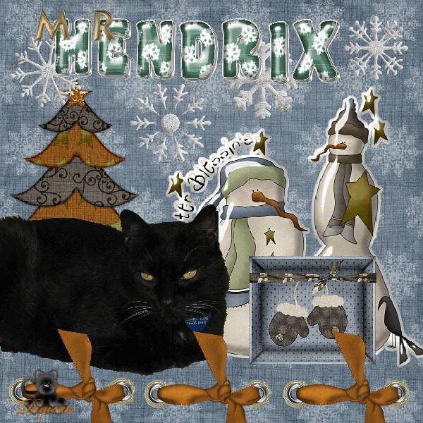 House Panther,Domestic Cat,Winter,Snowcats Project,Black Cat,Happy Holidays,Snowmen