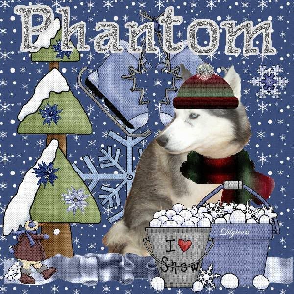 Dog,Winter,Snowcats Project,Happy Holidays,Holiday Glitter