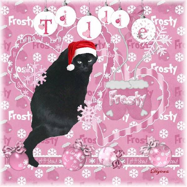 House Panther,Domestic Cat,Winter,Snowcats Project,Happy Holidays,Holiday Glitter