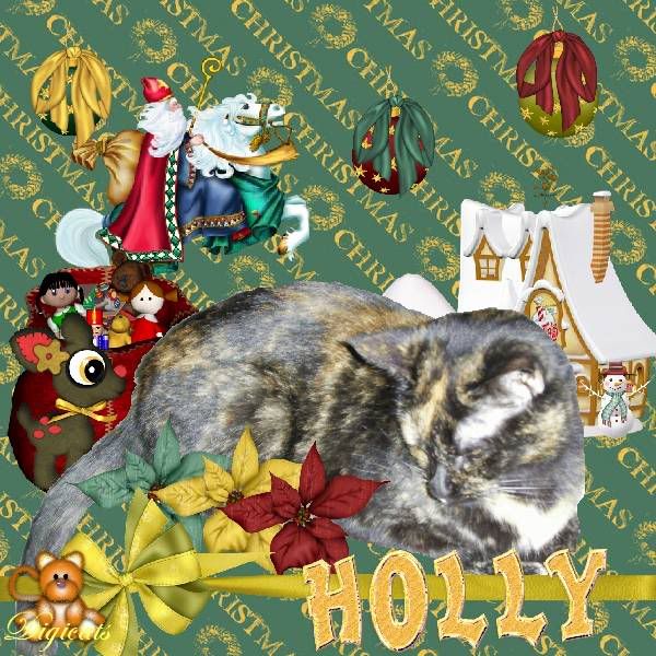 Holly just wants to nap for the Holly Daze