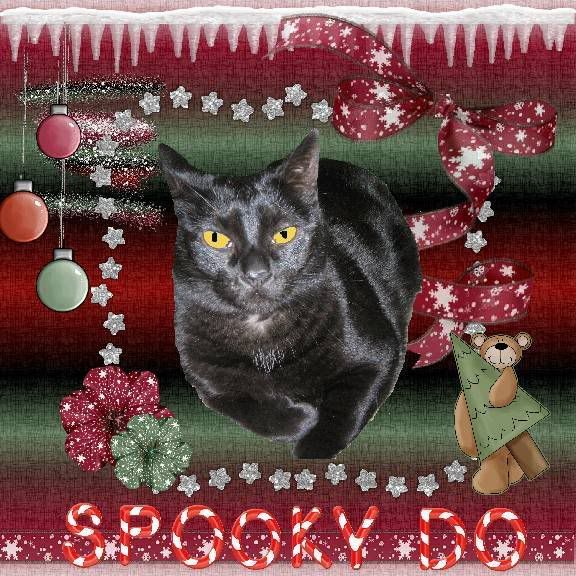 Christmas,House Panther,Spooky Do