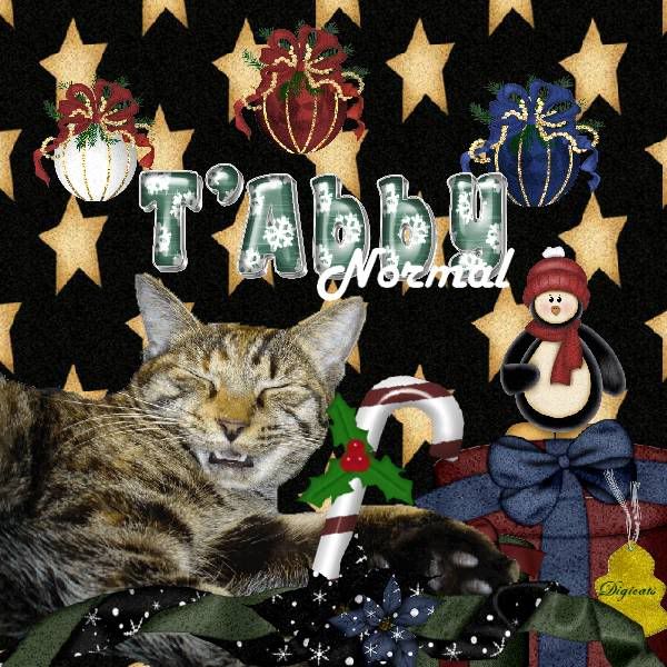 Holly Daze,Tabby Cat,Domestic Cat,Penguins,Happy Holidays,Holiday Glitter