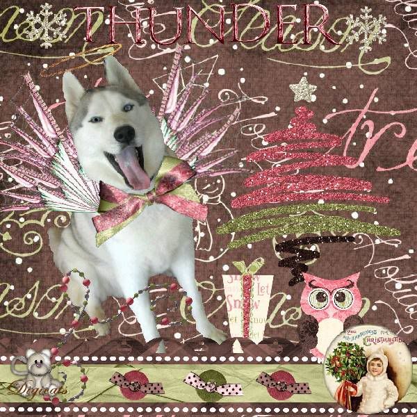 Dog,Holly Daze,Holiday Glitter,Happy Holidays