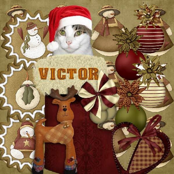 Holly Daze,Tabby Cat,Domestic Cat,Happy Holidays,Holiday Glitter