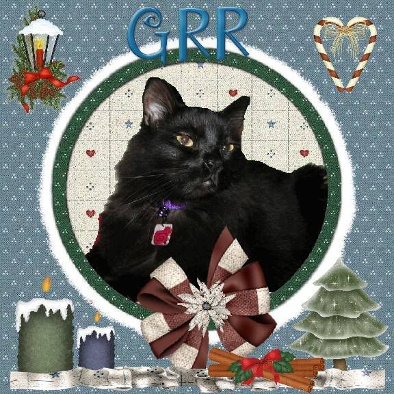 House Panther,Grr,Christmas