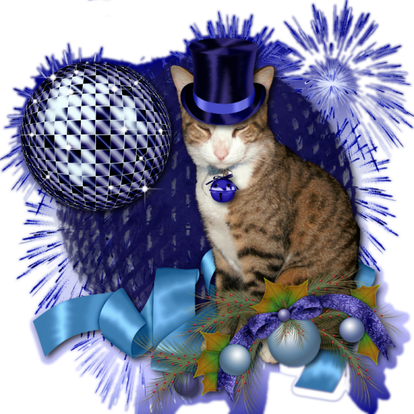 A Tabby New Year