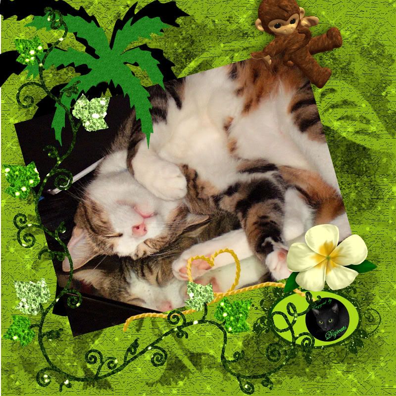 Download this Jungle Love Photo Junglelove picture