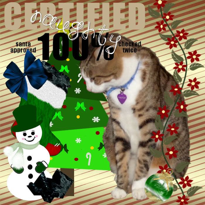 Tabby Cat,Snowman,Domestic Cat,Sir Tristan,Happy Holidays,Christmas