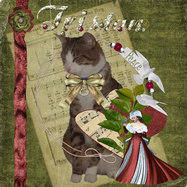Tabby Cat,Domestic Cat,Sir Tristan,Happy Holidays