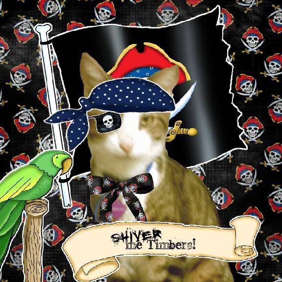 Pirate,Sir Tristan,Tabby Cat,Domestic Cat