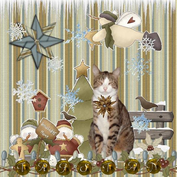 Holly Daze,Snowmen,Tabby Cat,Domestic Cat,Sir Tristan,Happy Holidays