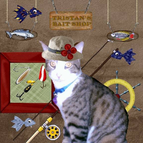 tabby cat,fishing