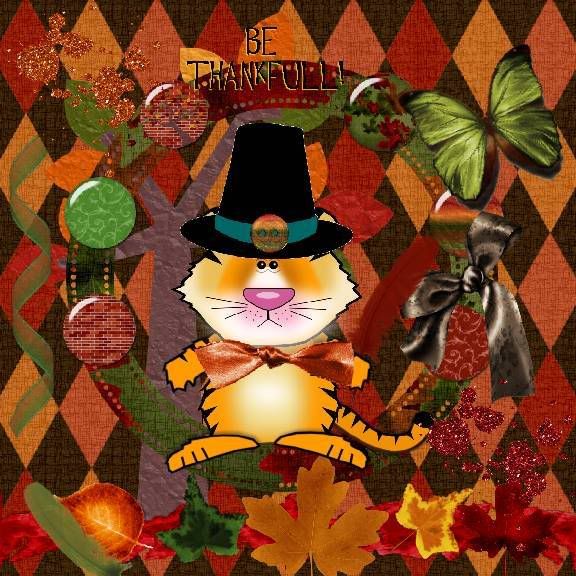 tabby cat,tiger,Autumn,Thanksgiving