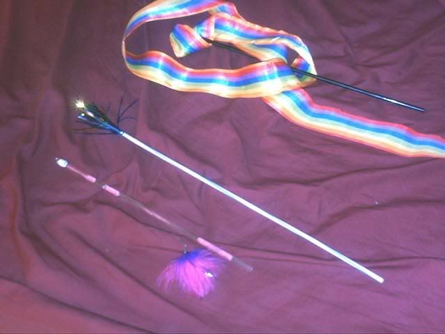 Cat toy