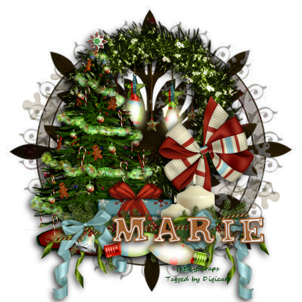 Christmas Lights 2 - Marie