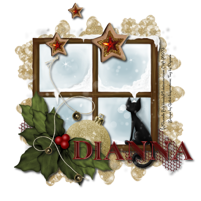 Christmas Memories - Dianna
