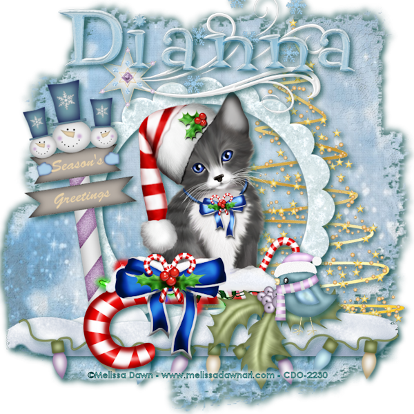Frosted Kitten - Dianna