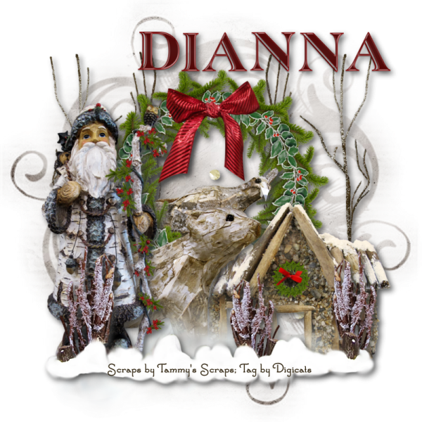 Woodland Winter - Dianna photo Woodwinter_11282010Dianna.png