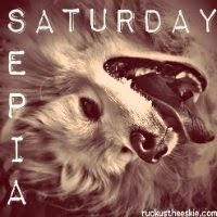 Sepia Saturday