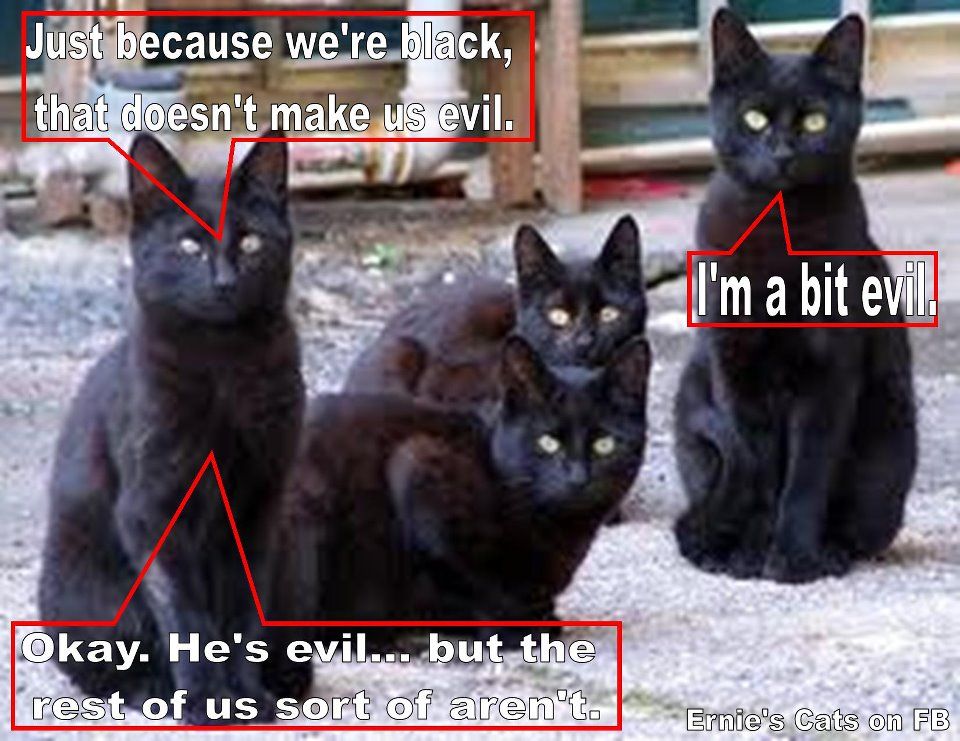We're not evil!