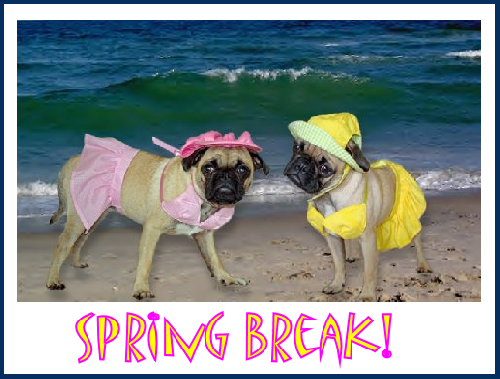 Spring Break Babes