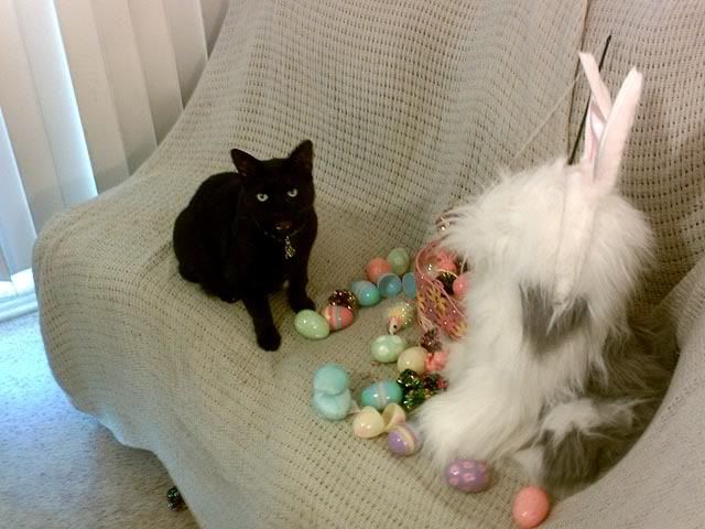 Hoppy Easter