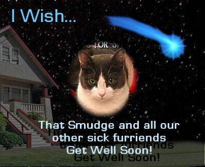 I Wish Smudge gets well
