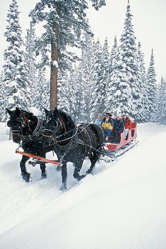 Winter Sleigh Ride