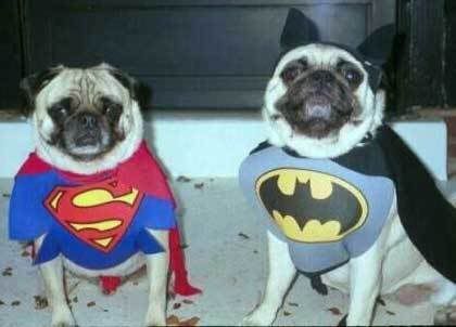 superpugs.jpg