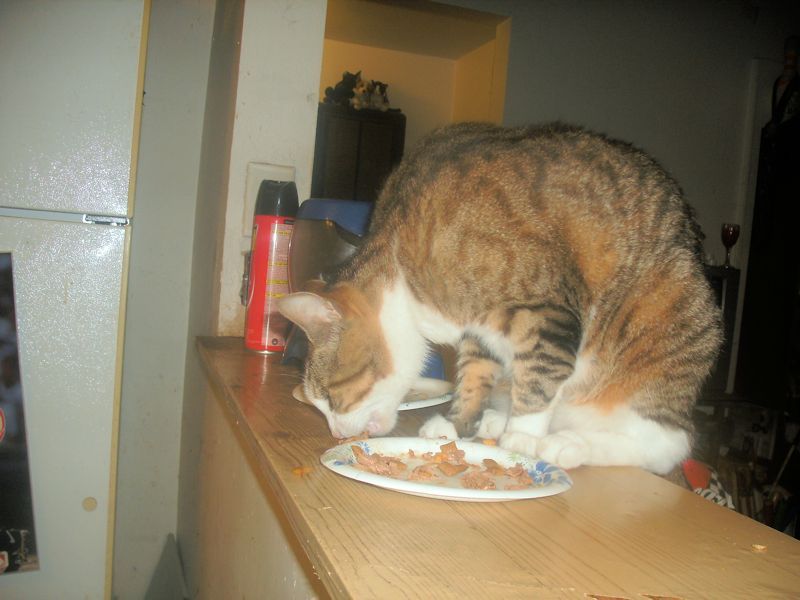 Well, obviously he's gonna eat that!