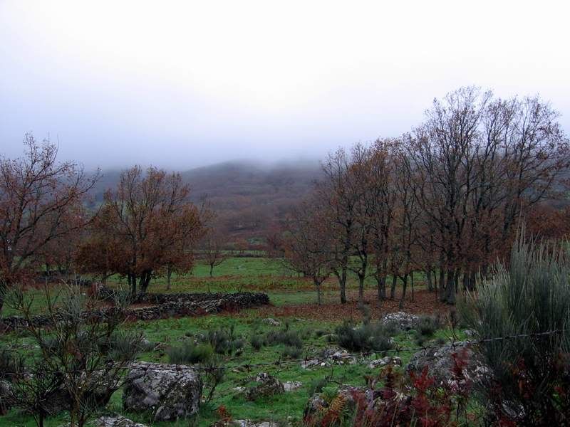 paisaje3.jpg