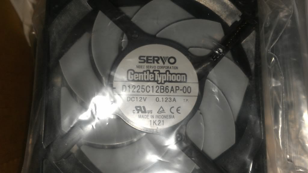 IMAG0436.jpg