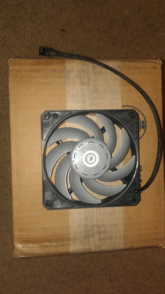 IMAG0440.jpg