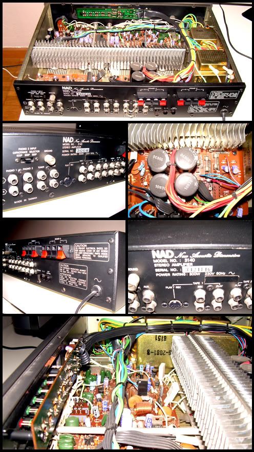 http://i173.photobucket.com/albums/w48/renaudmumu/NAD/nad3140_2.jpg